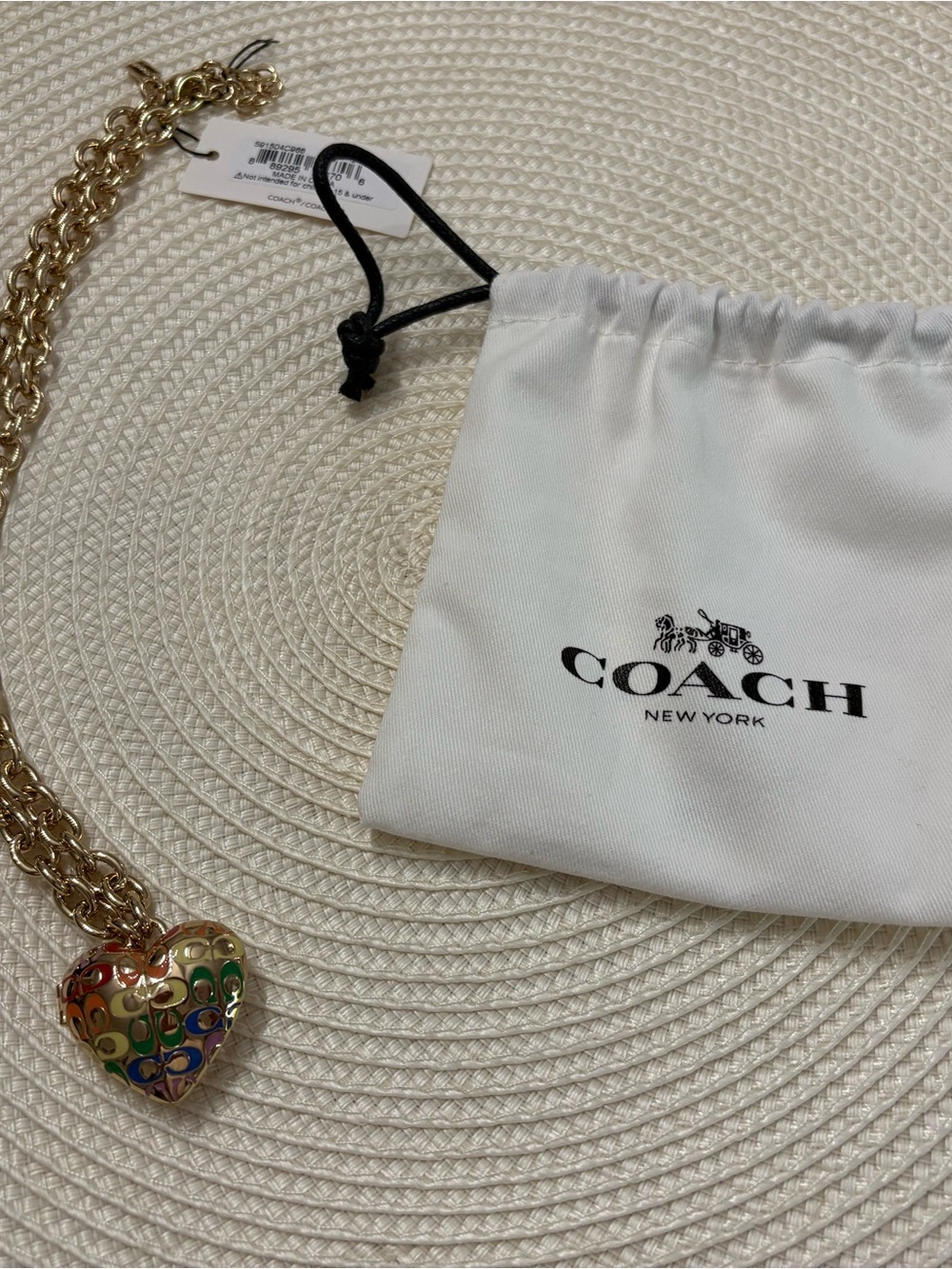 COACH Multicolor Heart Pendant Necklace - Gold Chain